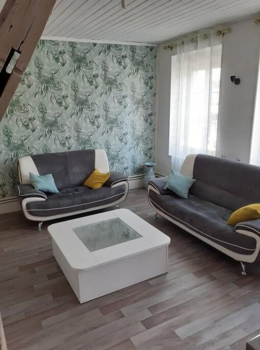 Super Logement En Plein Coeur De La Ville , Chez Tify Brienne-le-Chateau Zewnętrze zdjęcie