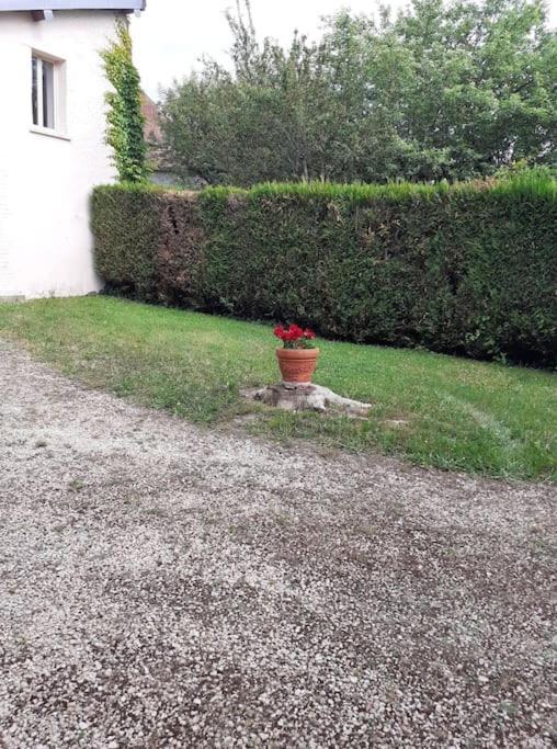 Super Logement En Plein Coeur De La Ville , Chez Tify Brienne-le-Chateau Zewnętrze zdjęcie